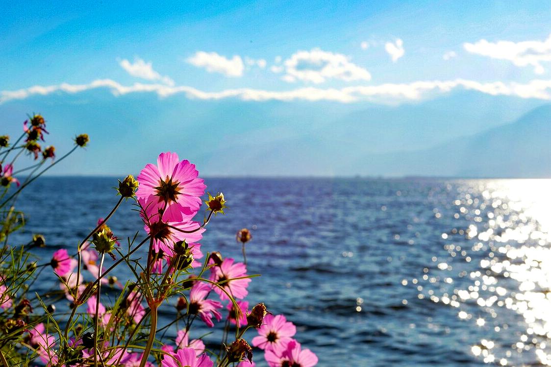 大理洱海五个古镇,大理洱海一圈有多少打卡地