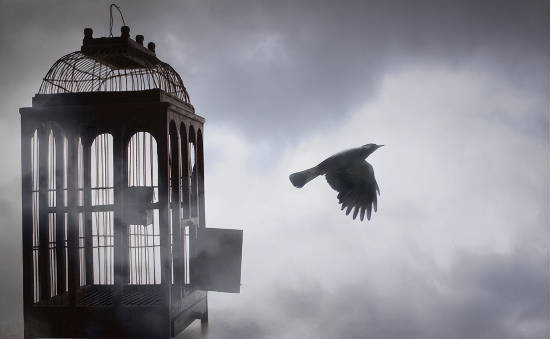 驾校驾培行业的服务特点,驾校驾培靠谱不