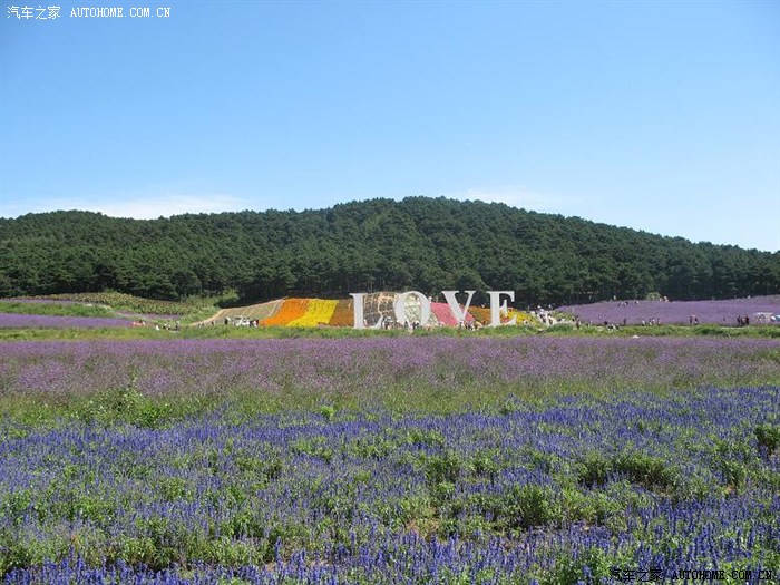 沈阳市内可以去的免费景点,沈阳市区旅游景点大全排行