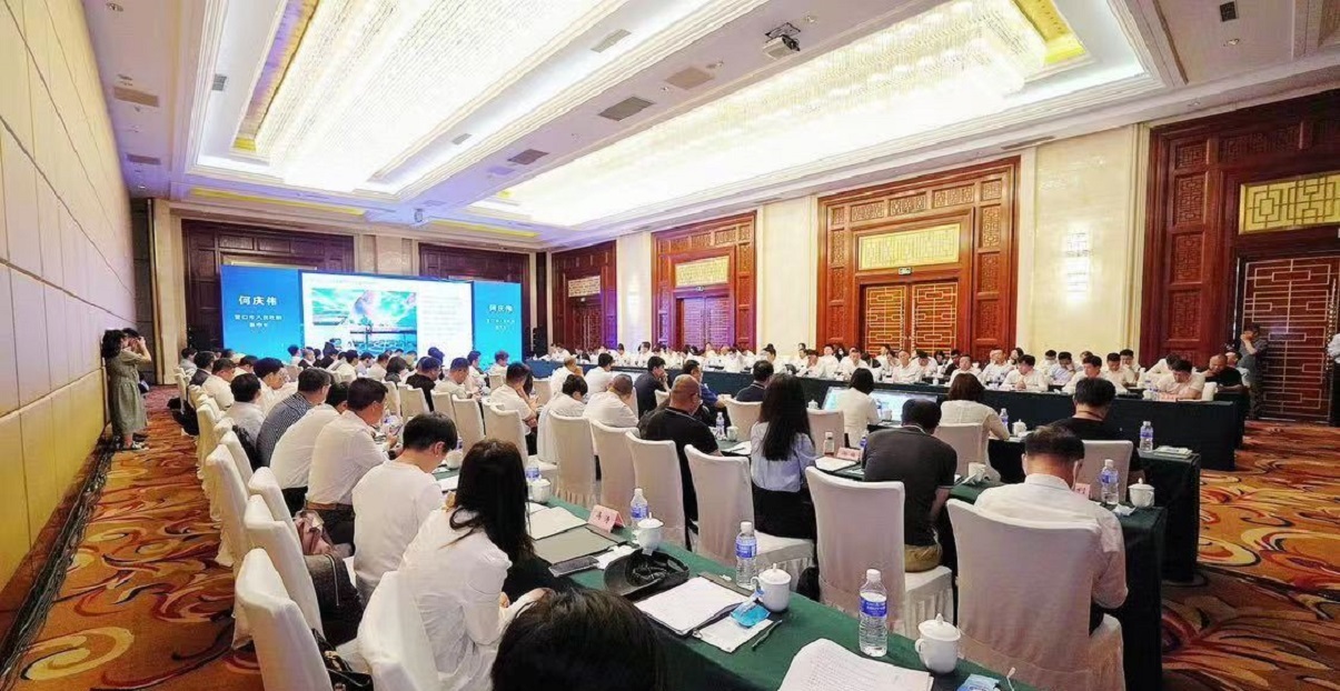 圣泽天下最新消息,圣泽天下