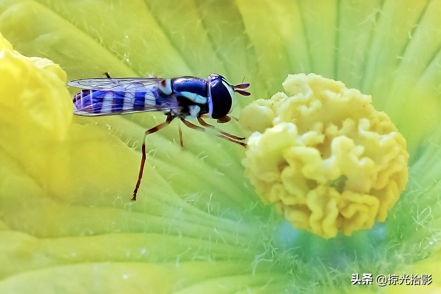 手机拍出清晰照片的20个技巧,手机小技巧怎么样拍出好照片