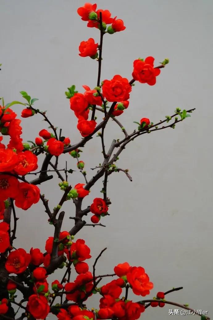 31省份最低工资怎样做标准,31省最低工资怎么算