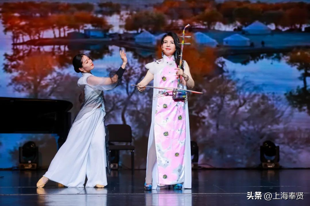 马晓辉二胡演出,马晓晖二胡独奏卧虎藏龙插曲