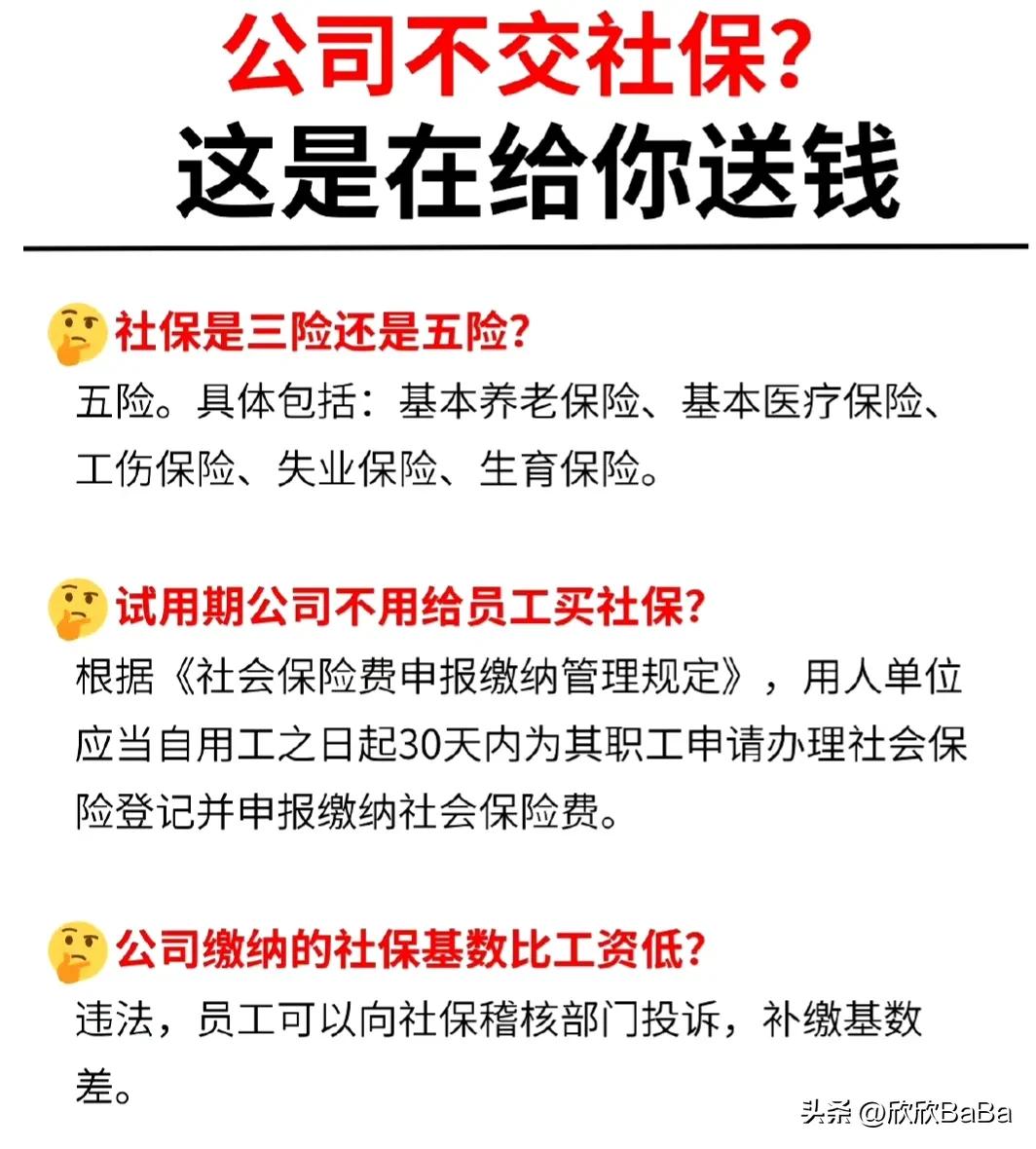 夫妇入职300家公司骗薪,夫妻入职300家公司骗工资60万