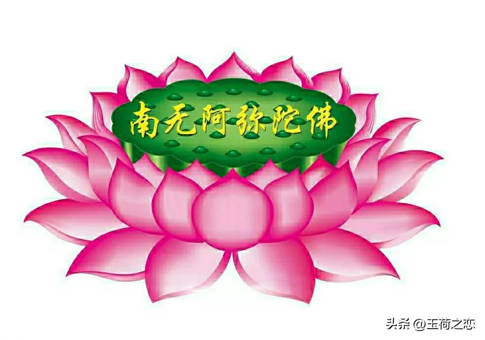 清明前，母亲给我托梦了