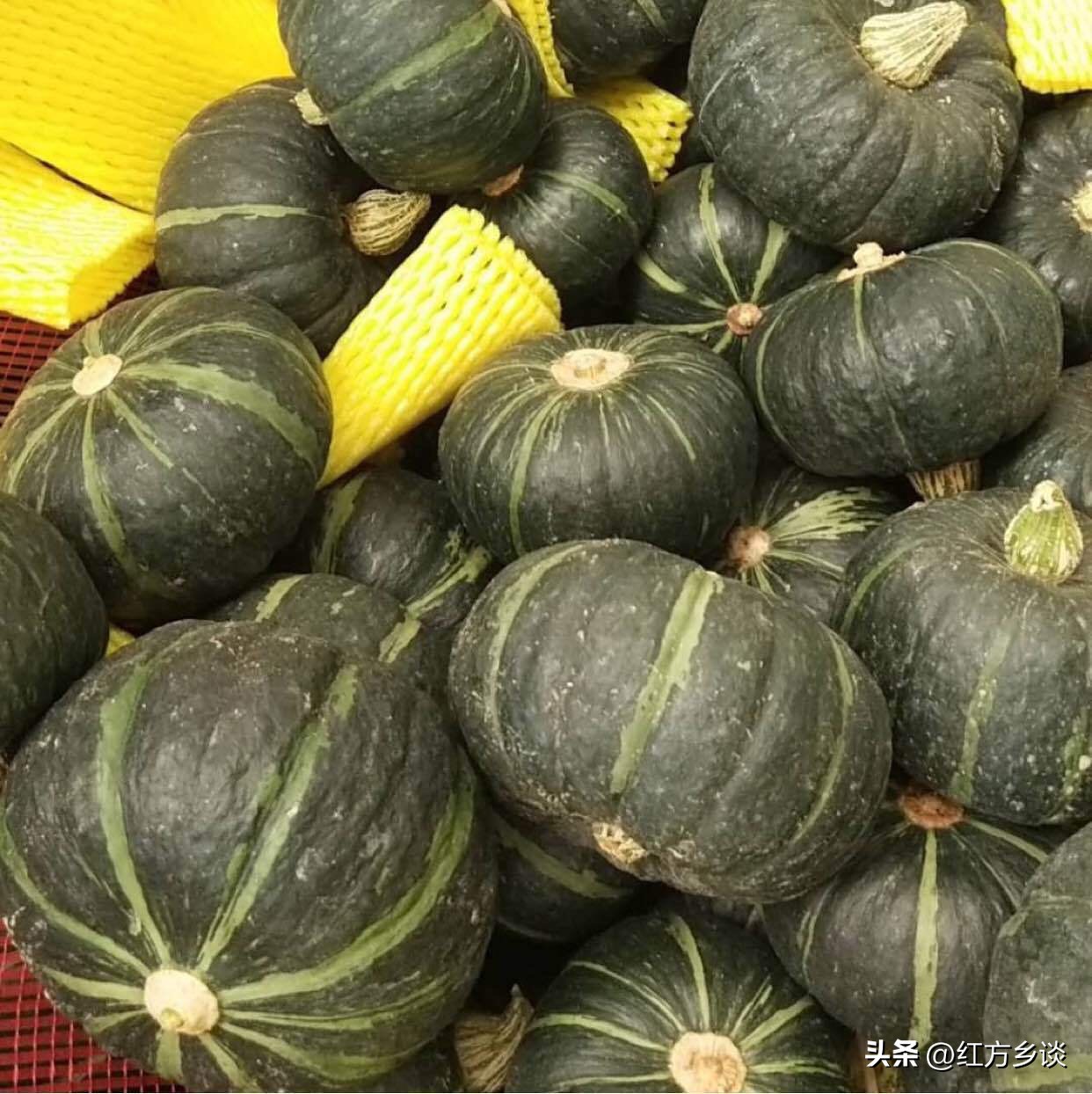 红方真相：你可能一直都在吃假的贝贝小南瓜