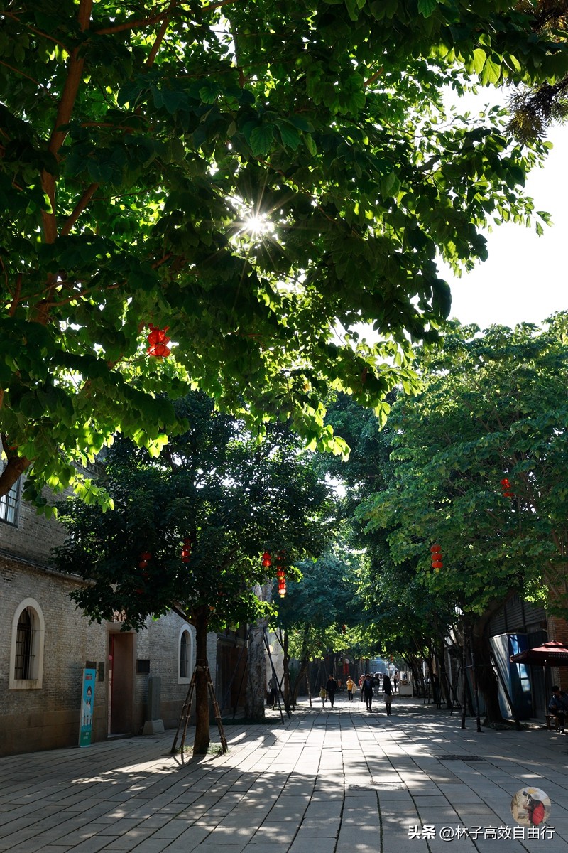 福州最新玩法,福州市区游玩攻略