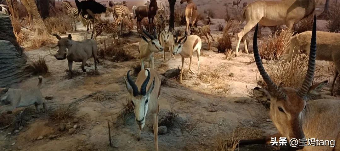 上海科技馆游玩全攻略,上海科技馆儿童馆攻略