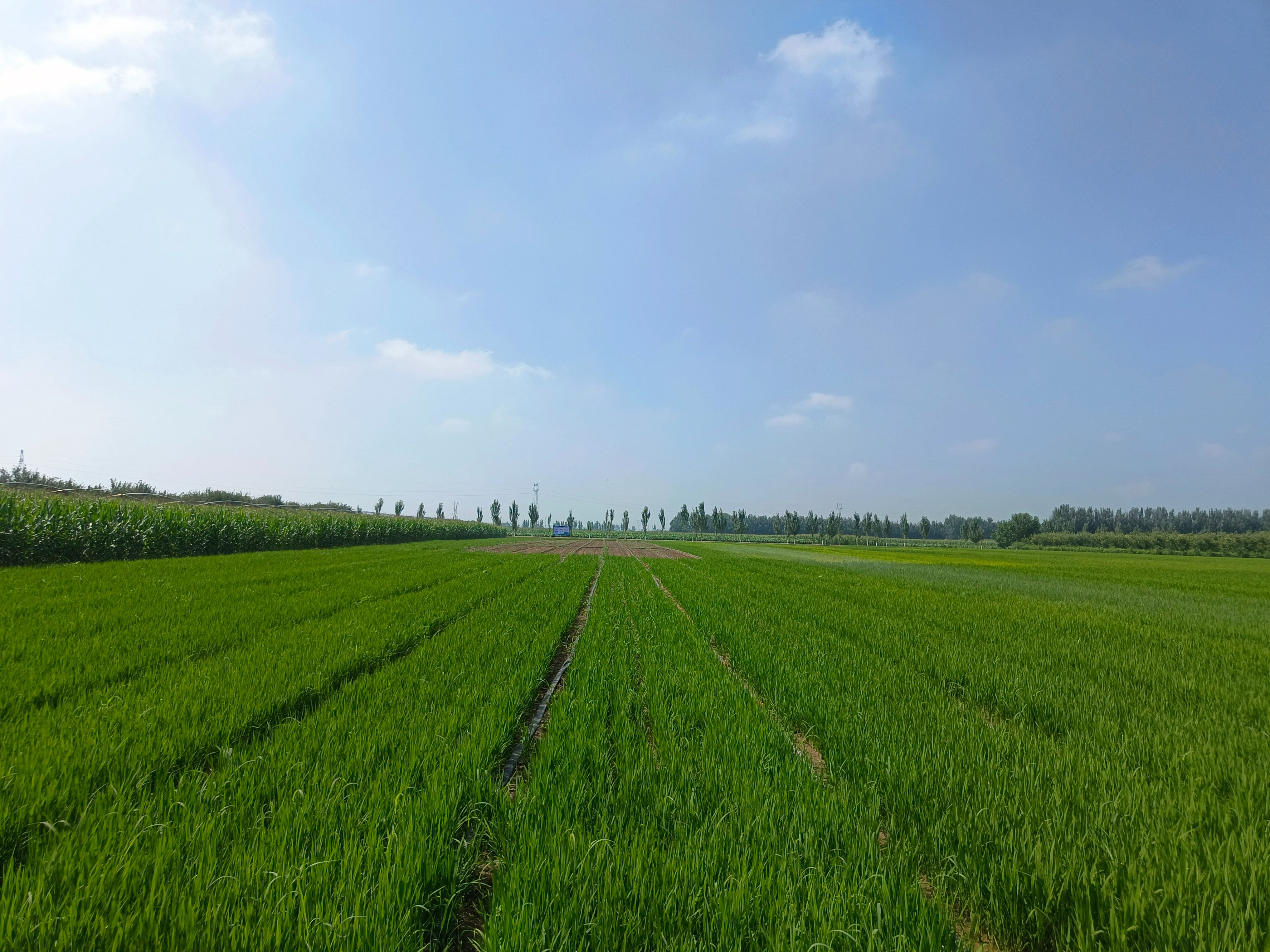 关注智慧农业助力我县春耕生产,关注智慧农业助力三农新发展