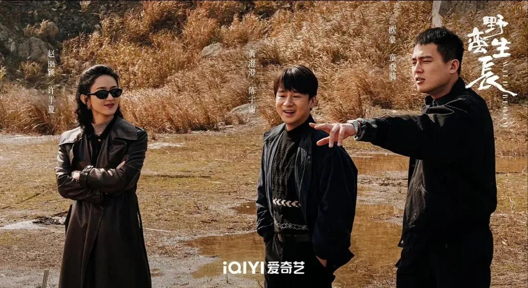 《风吹半夏》不再用配音“赵丽颖+欧豪”转型挺成功