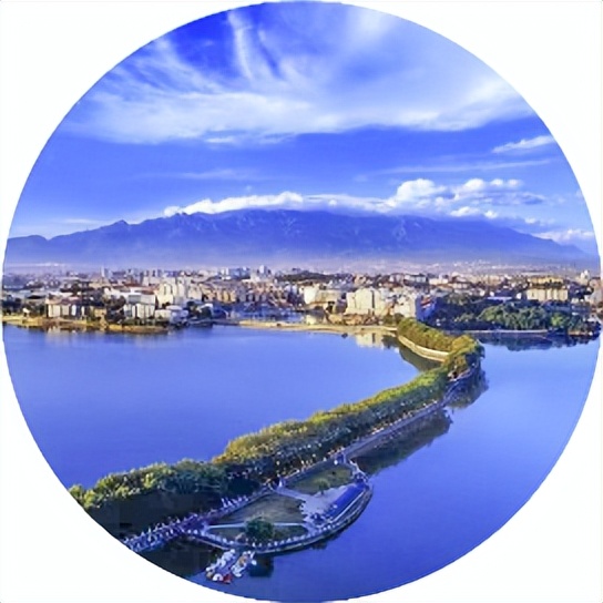 阿郎|浔阳诗画——那些花儿