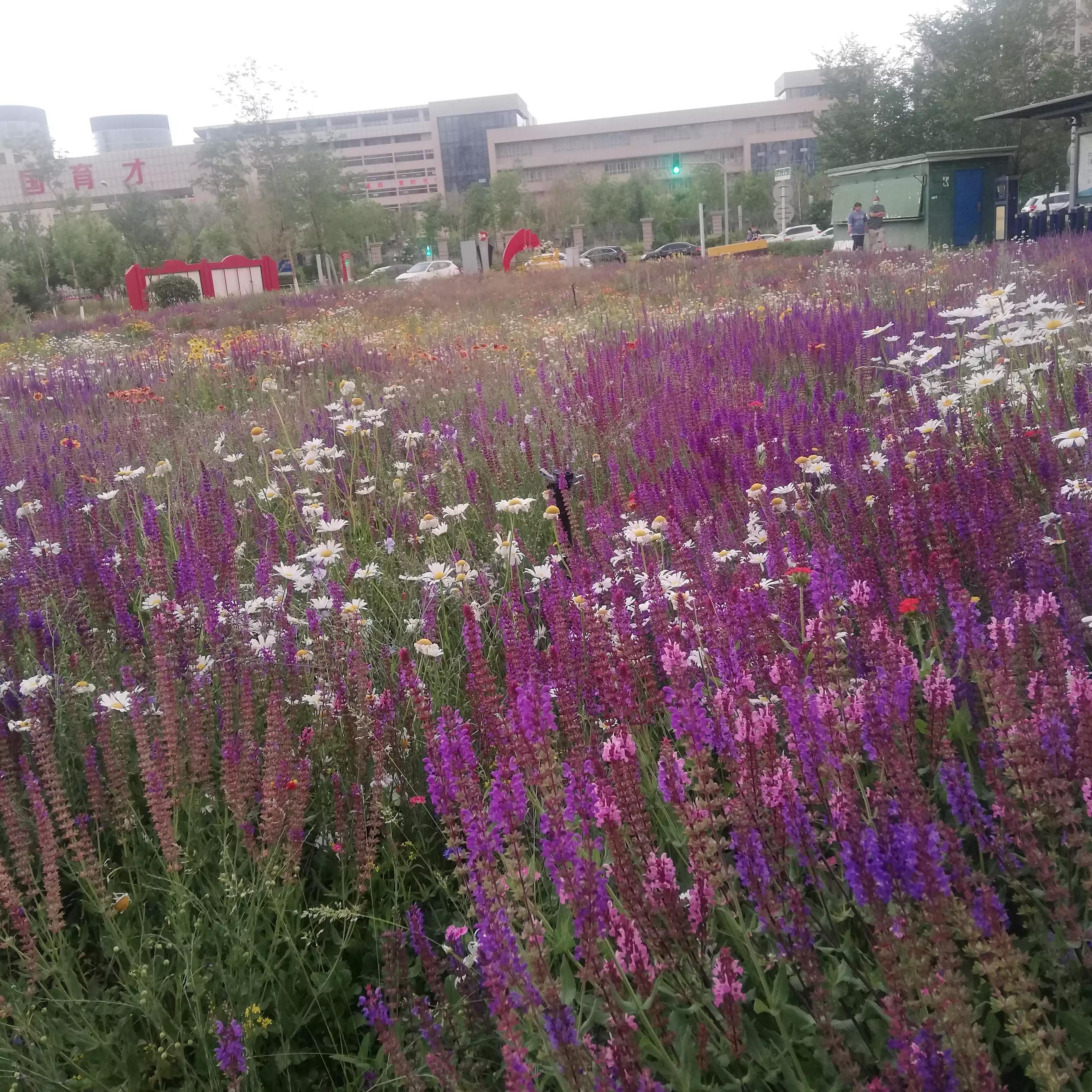 俄乌战场战役复盘,俄乌之战十点分析