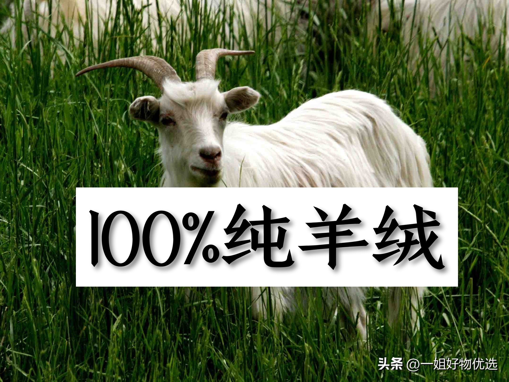 十大奢侈品围巾排名,十大奢侈品服饰排名