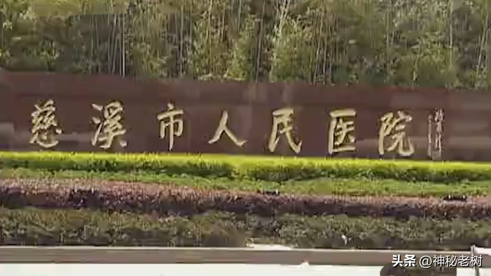 别人说我水性杨花，我说他们不懂生活，家里男人不行要我怎么办