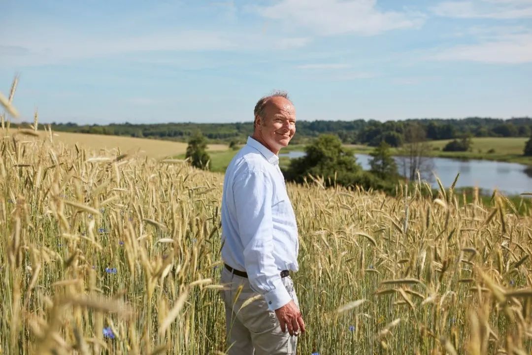 hipp喜宝荷兰版和德国版,喜宝hipp好用吗