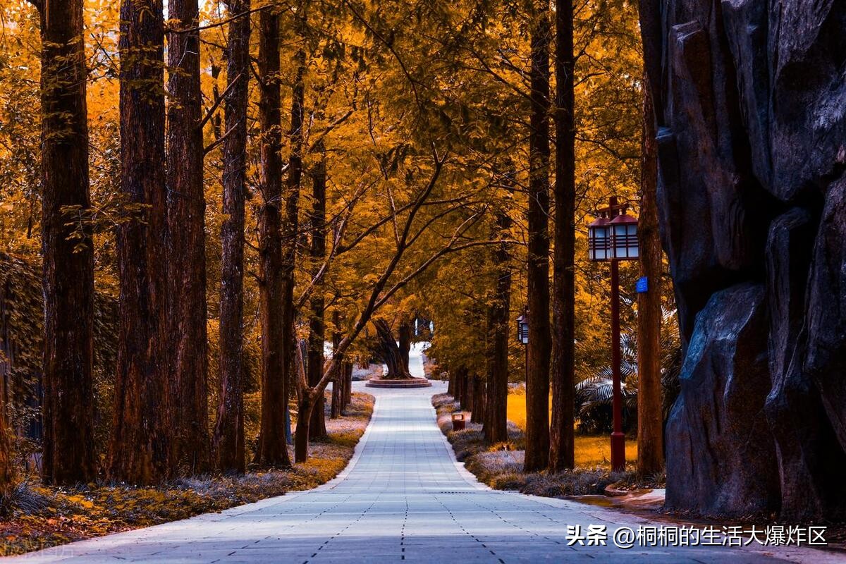 福州森林城市旅游攻略,福州山清水秀的地方