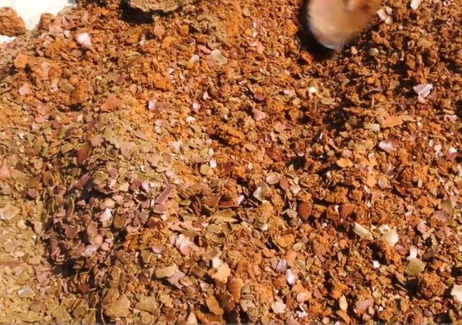 种蔬菜施鸡粪肥方法,蔬菜怎么施饼肥