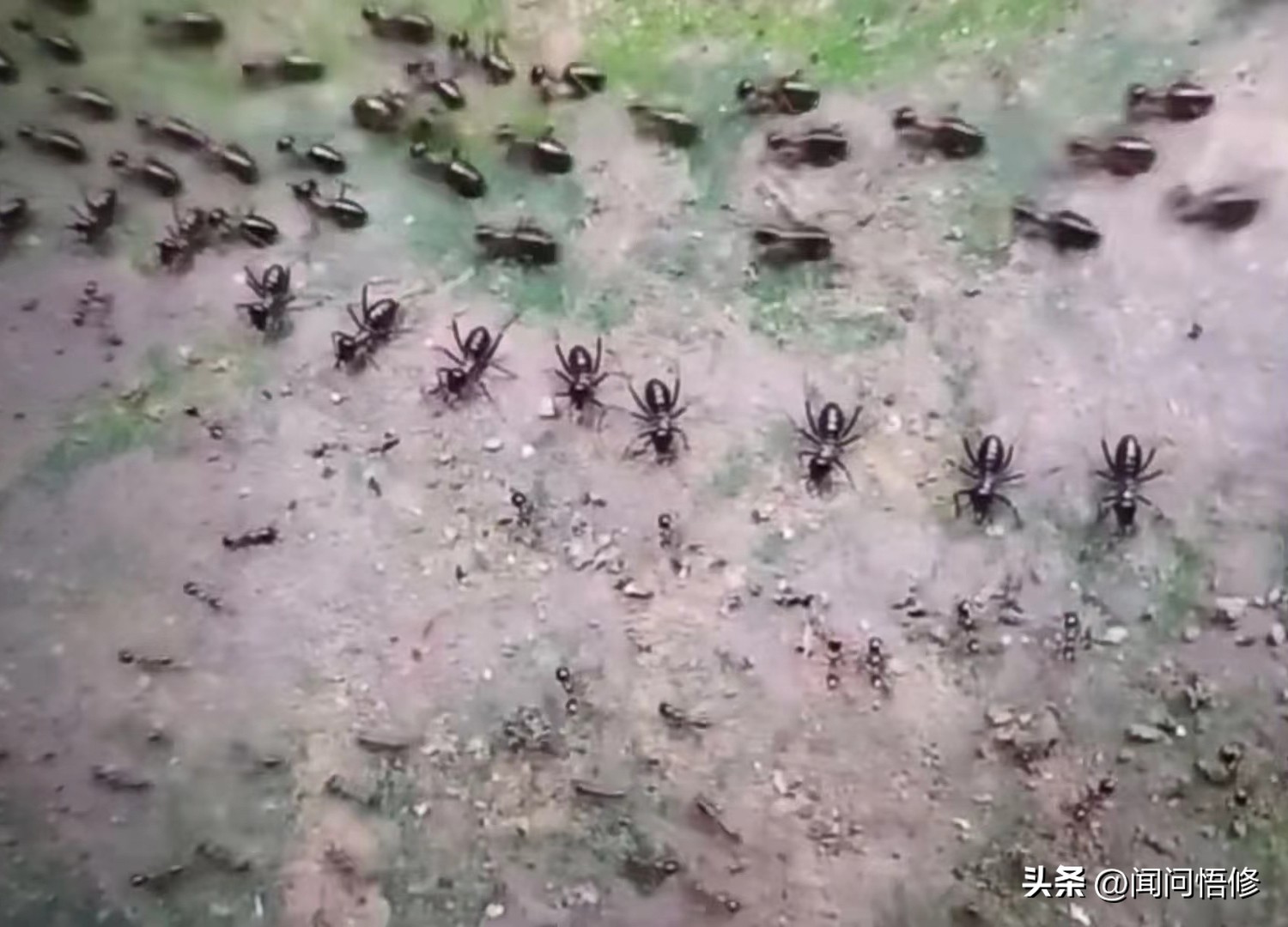 如何用逻辑思维做题,如何用逻辑思维方法推理解决问题