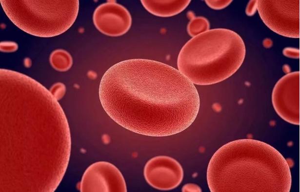 缺铁性贫血生活饮食上应该吃什么,缺铁性贫血吃什么饮食合适