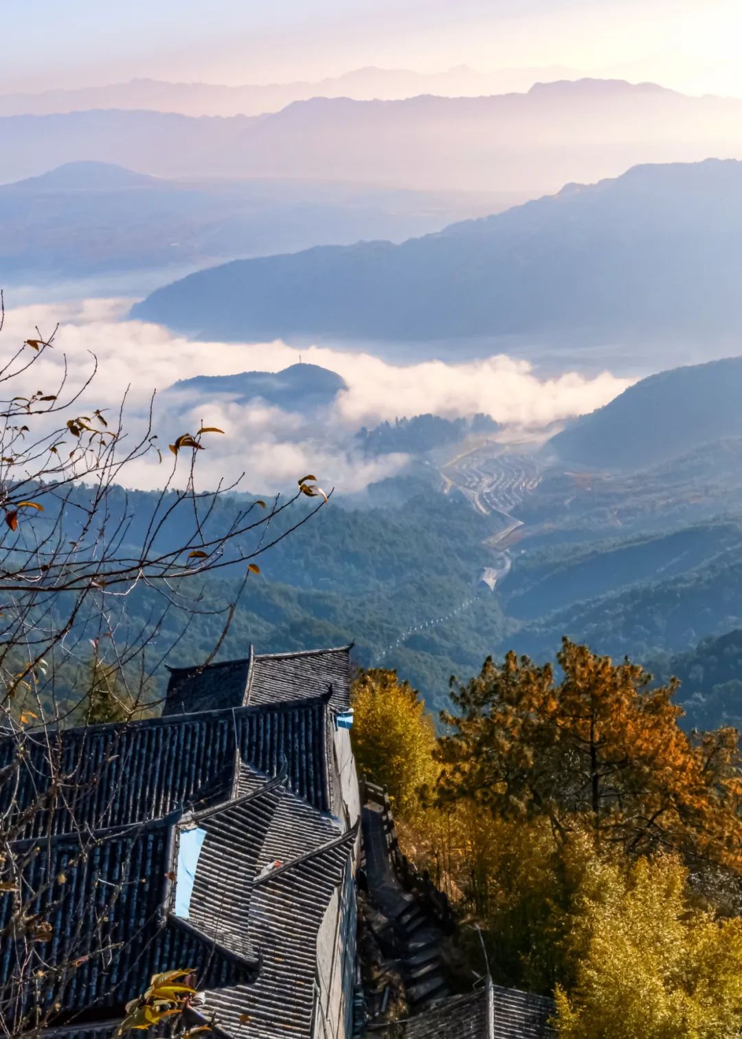 银杏谷泡温泉的地方,广东冬天赏银杏泡温泉