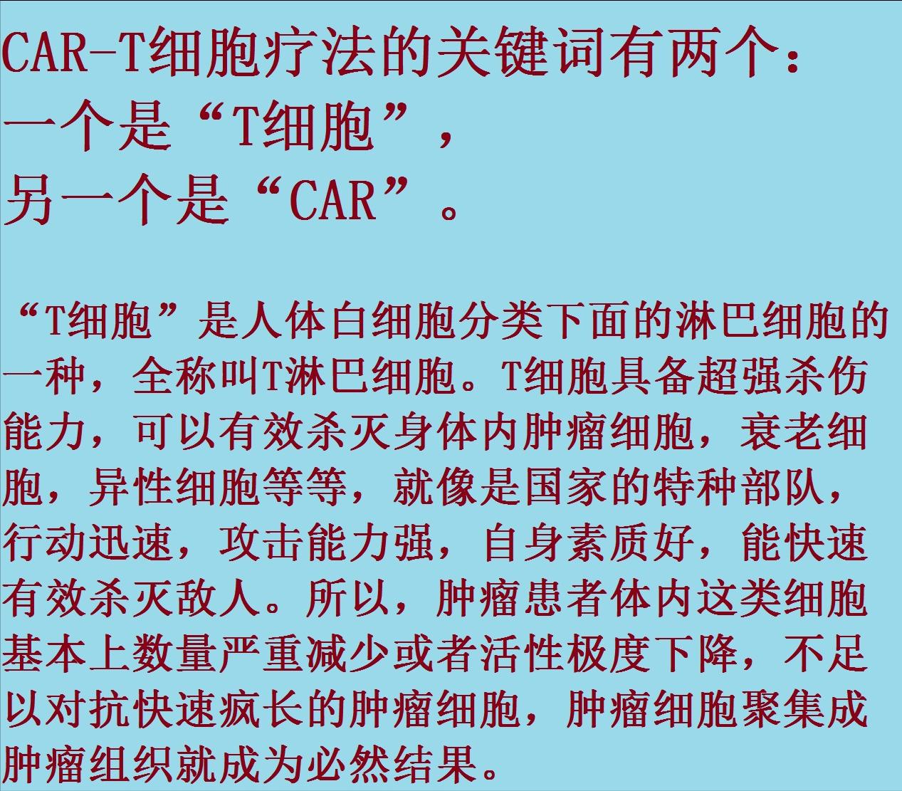 肿瘤与免疫的故事,肿瘤免疫治疗十大案例