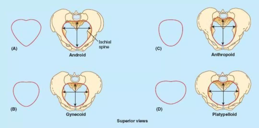 医生坦言：女人生没生过娃，一眼就能看出来，这3点不同很明显！
