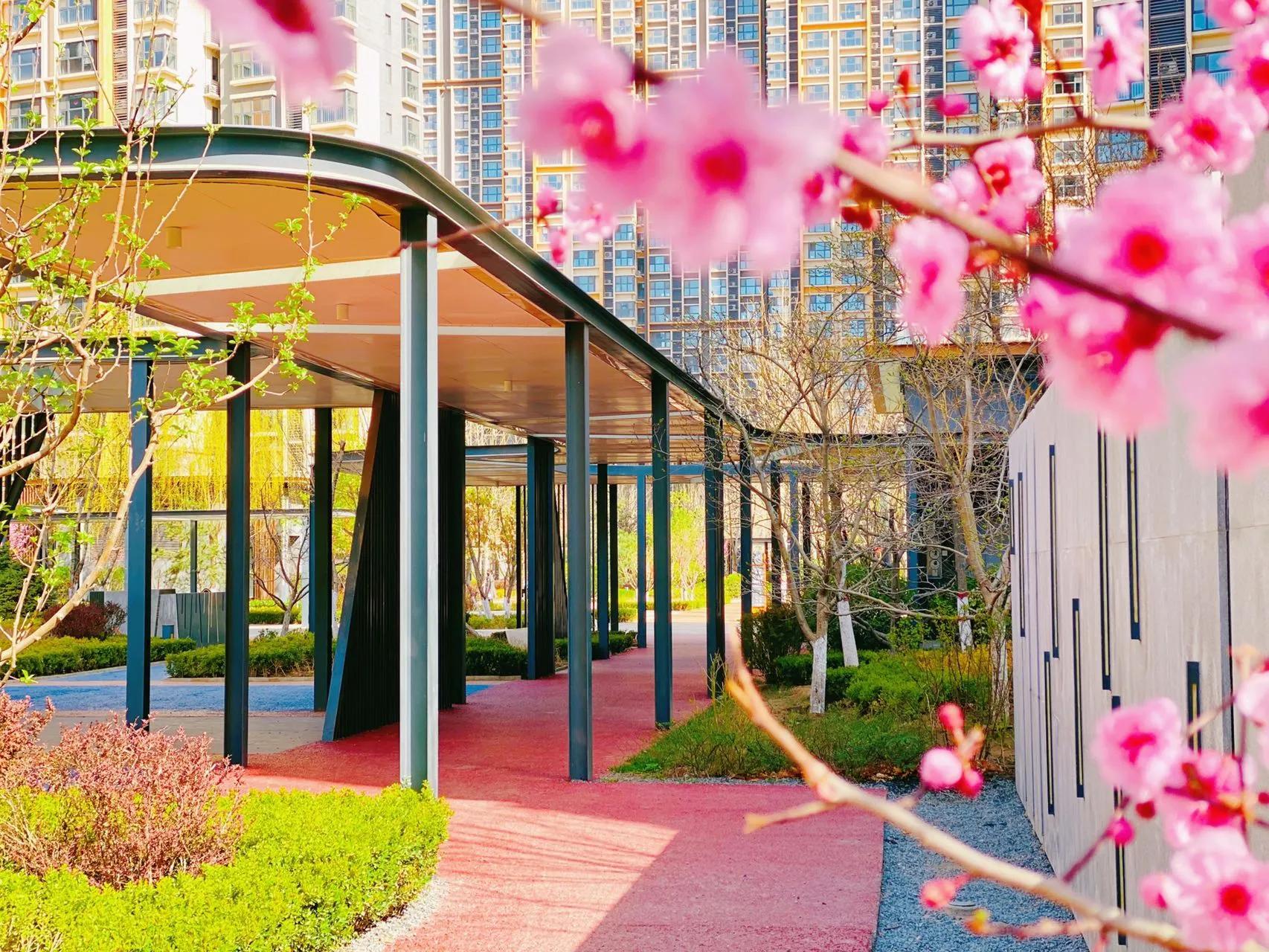 燕郊中兴和园二期什么时候买合适,燕郊中兴和园价格表