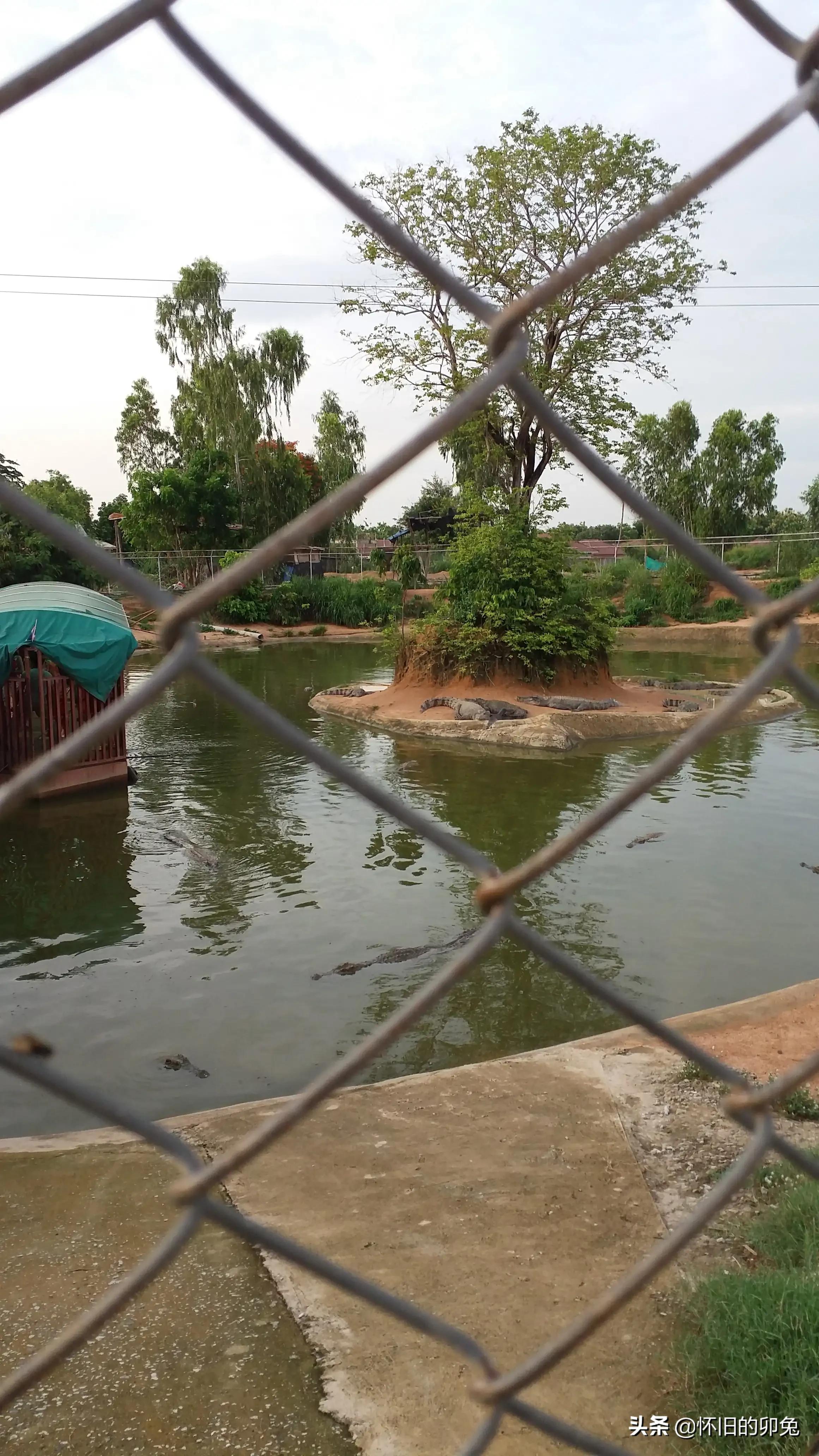 首次入境泰国,第一次出国泰国流程