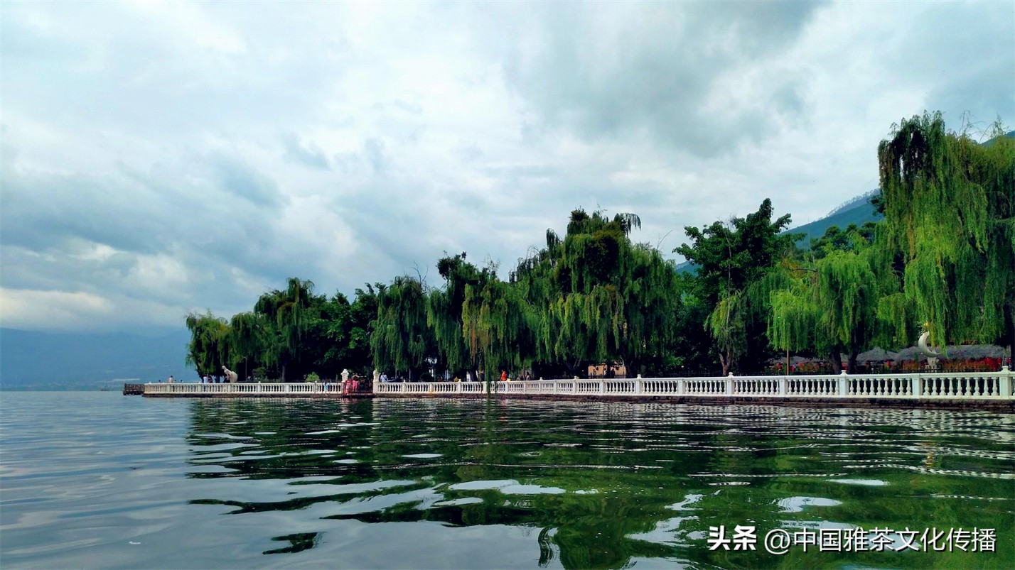 岁月与时光感悟人生,惊艳回眸的时光