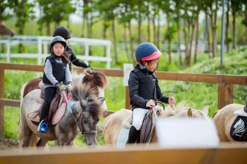 匠志萌宠乐园品牌中心,匠志萌宠