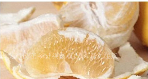 最后的凄凉下集,荀彧最后的凄凉