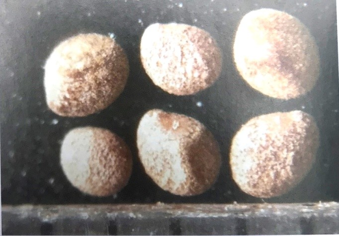 《药你明白》专栏:每天学一味中药:菟丝子