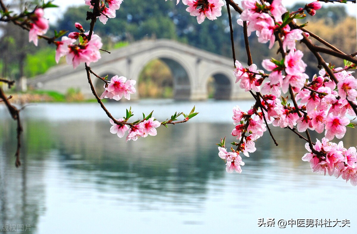 肾气不足骨痿是什么症状,脾虚阳痿怎么治