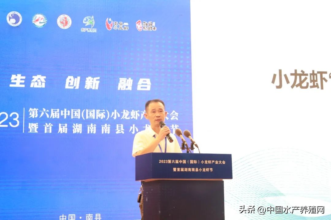 2023年南县小龙虾价格行情,南县小龙虾价格报价