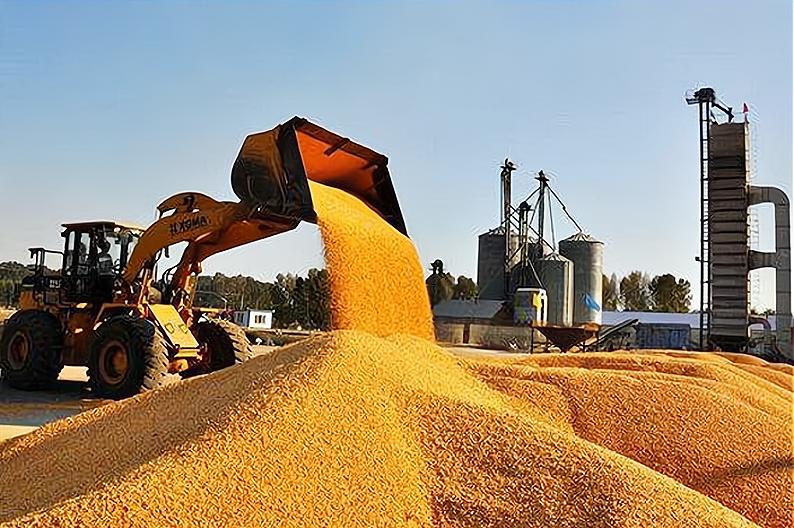 处暑出太阳好还是下雨好民间谚语,处暑谚语预测今年年景