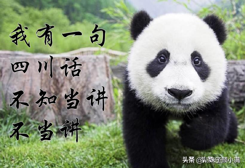 耗儿药四川方言rap歌名,耗儿药rap的伴奏