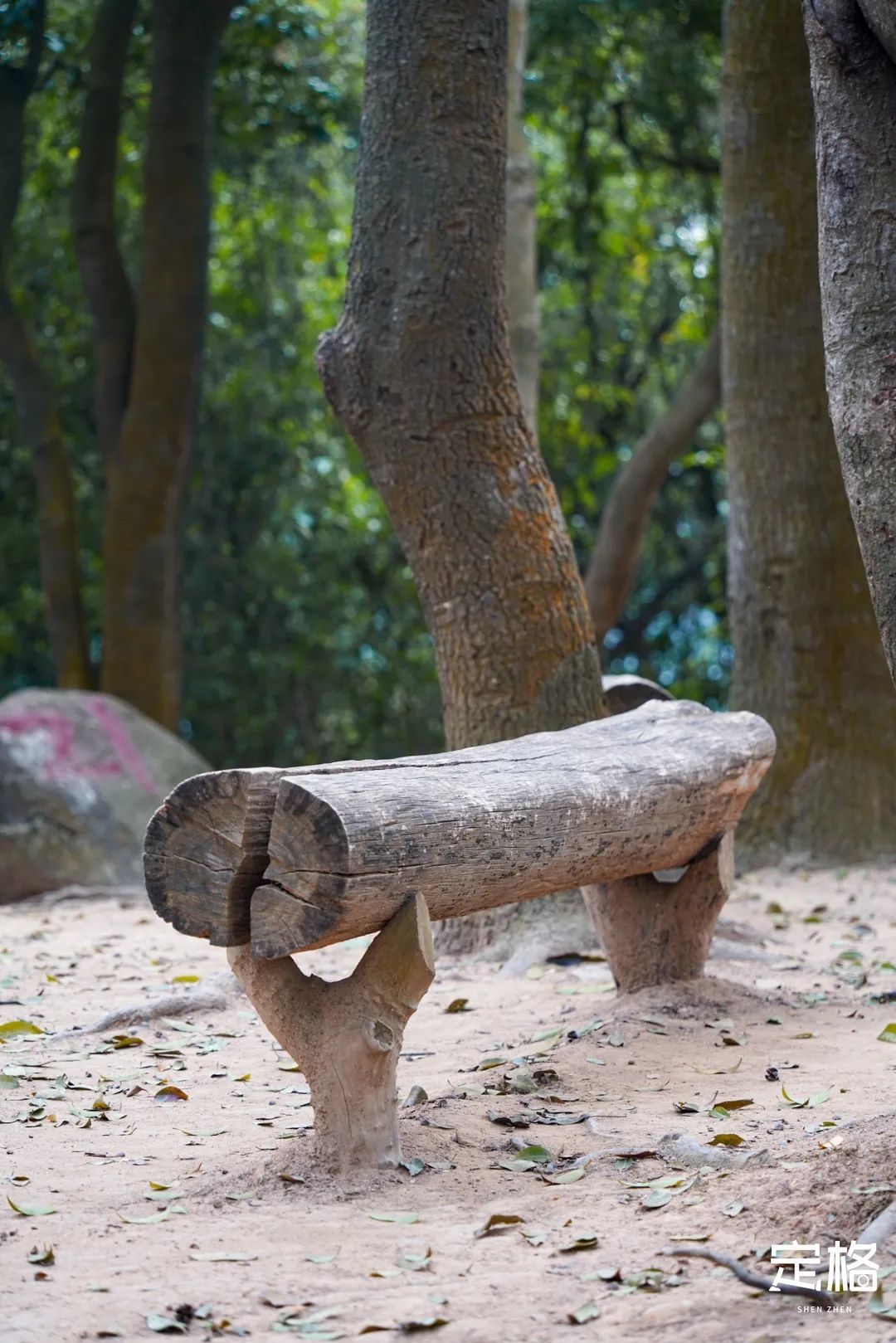 深圳小众打卡景点龙岗,2022深圳10个小众打卡地免费游玩