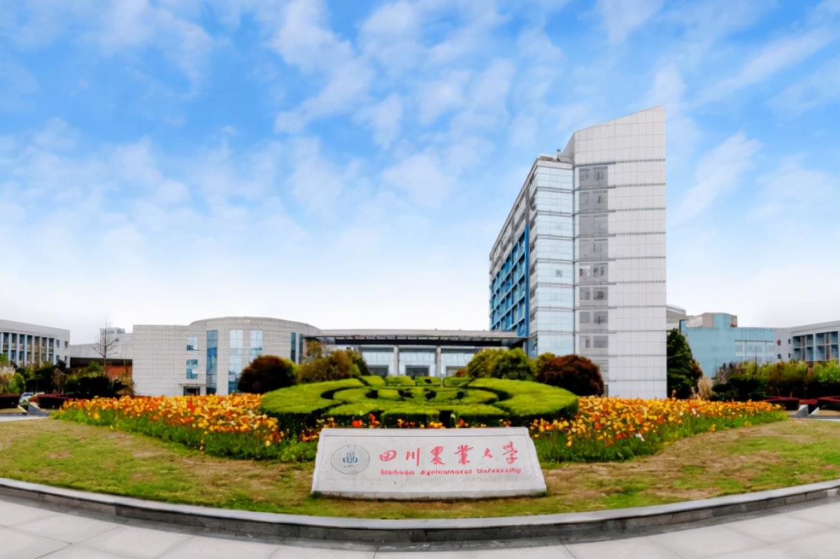 人大武大毕业生进厂,人大武大毕业捐香烟