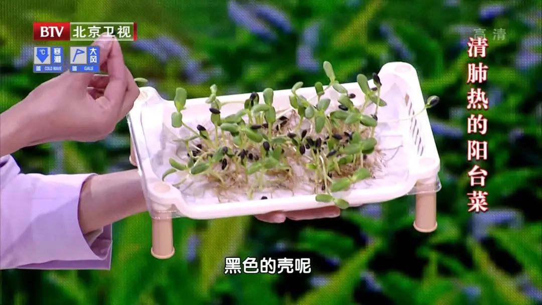 三种蔬菜降火效果最好,三种蔬菜清火最好