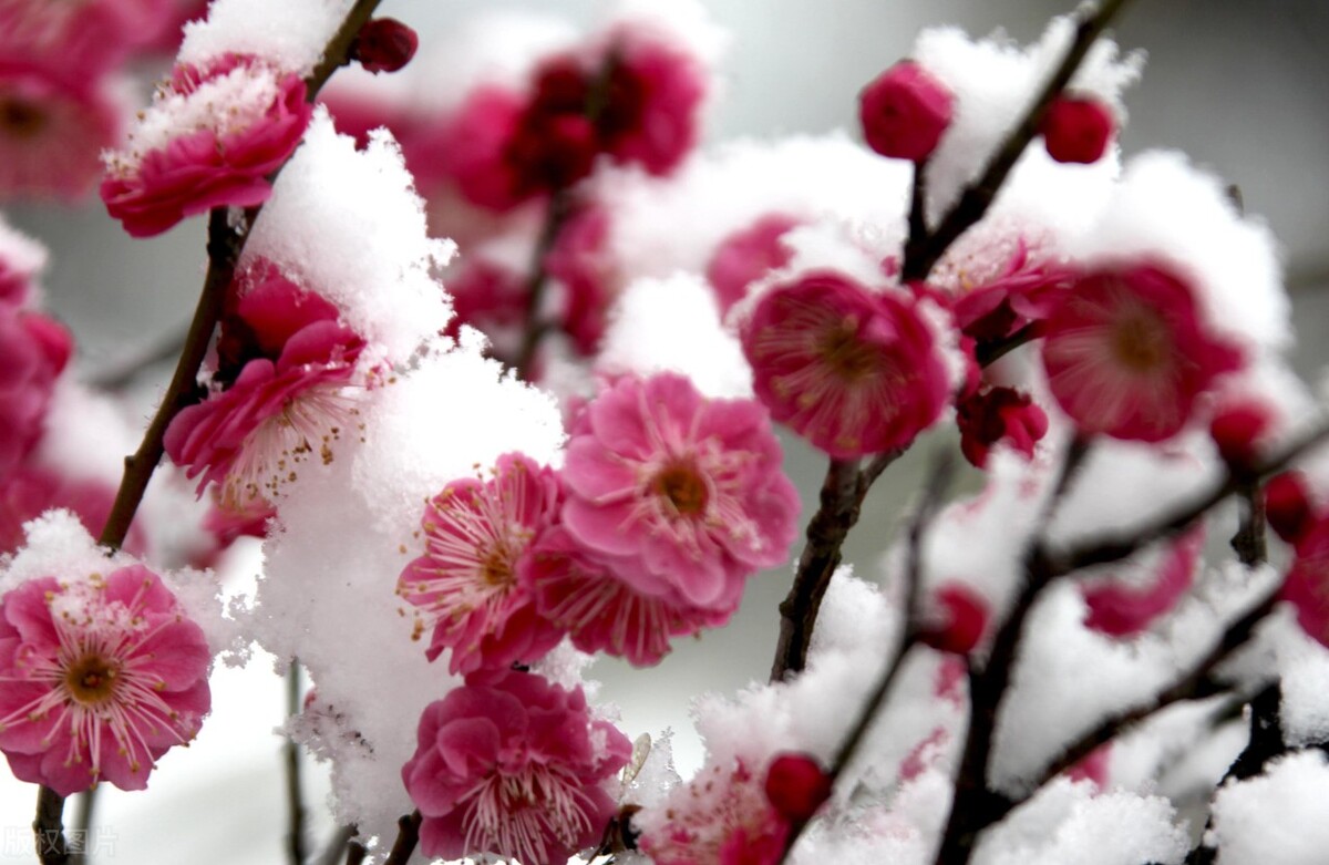 人间正道是沧桑是什么意思,人间正道是沧桑连续剧