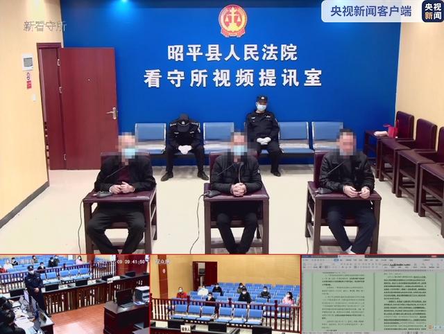 收穿山甲被处罚,穿山甲被判刑案例