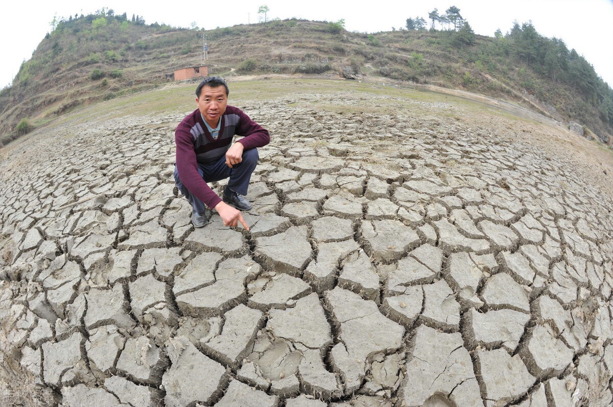 听农民大叔打开窗户说亮话“央行放水万亿”该贷贷贷,该花花花