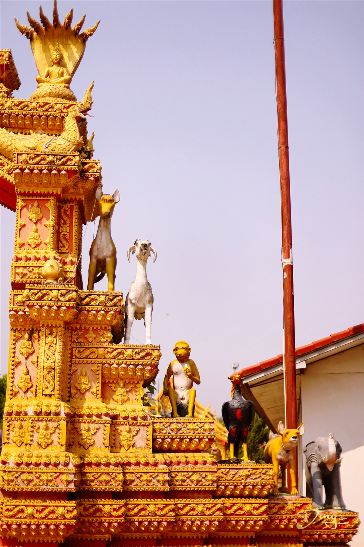 老挝之旅带你了解真实的老挝,去老挝攻略最新