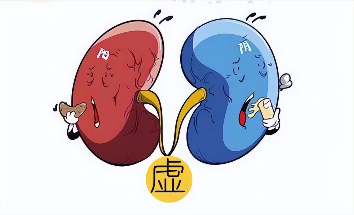 肾虚会自己恢复吗中医,肾虚能自己恢复吗