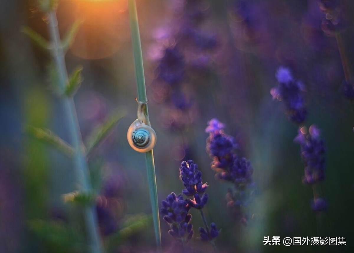 最美的景色秋天照片高清,夏天和秋天的绝美照片