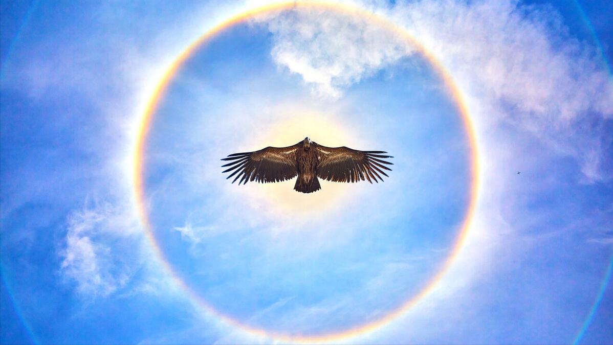 鬼斧神工大自然十大奇观,地球上的七大自然奇观