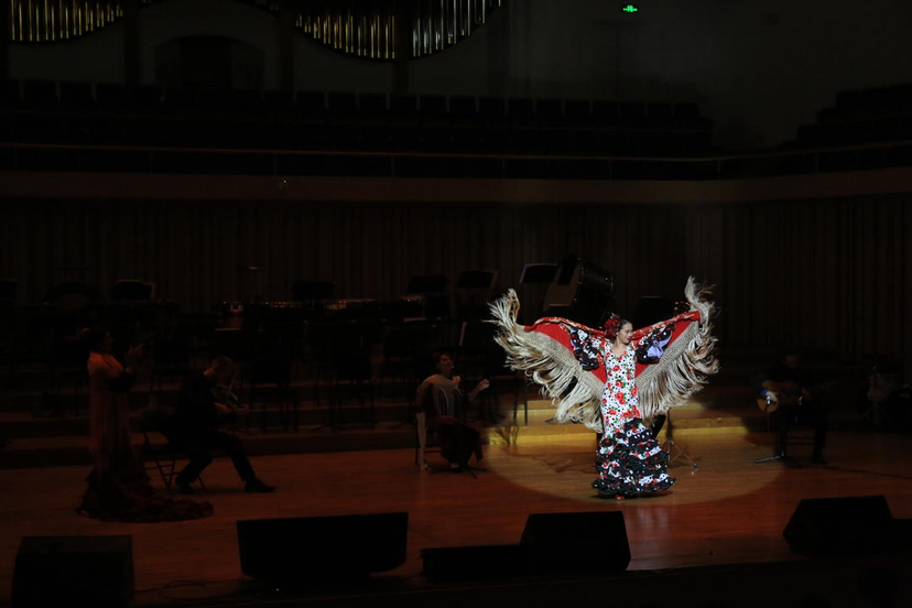 成都欧洲文化季开幕音乐会,2024年成都欧洲文化季开幕音乐会