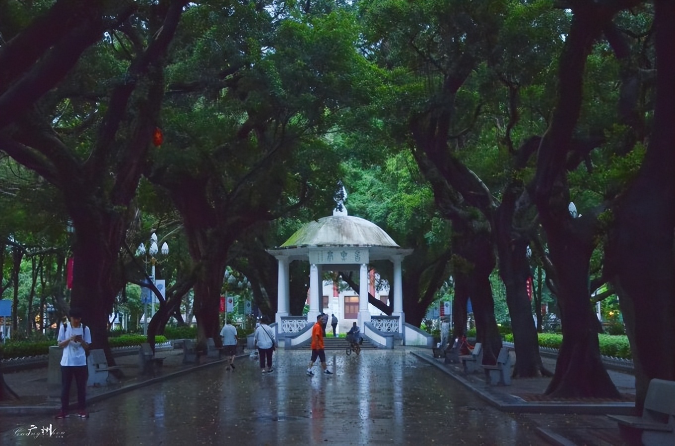 广州游记最值得逛吃的3条路线,广州周边寻味之旅