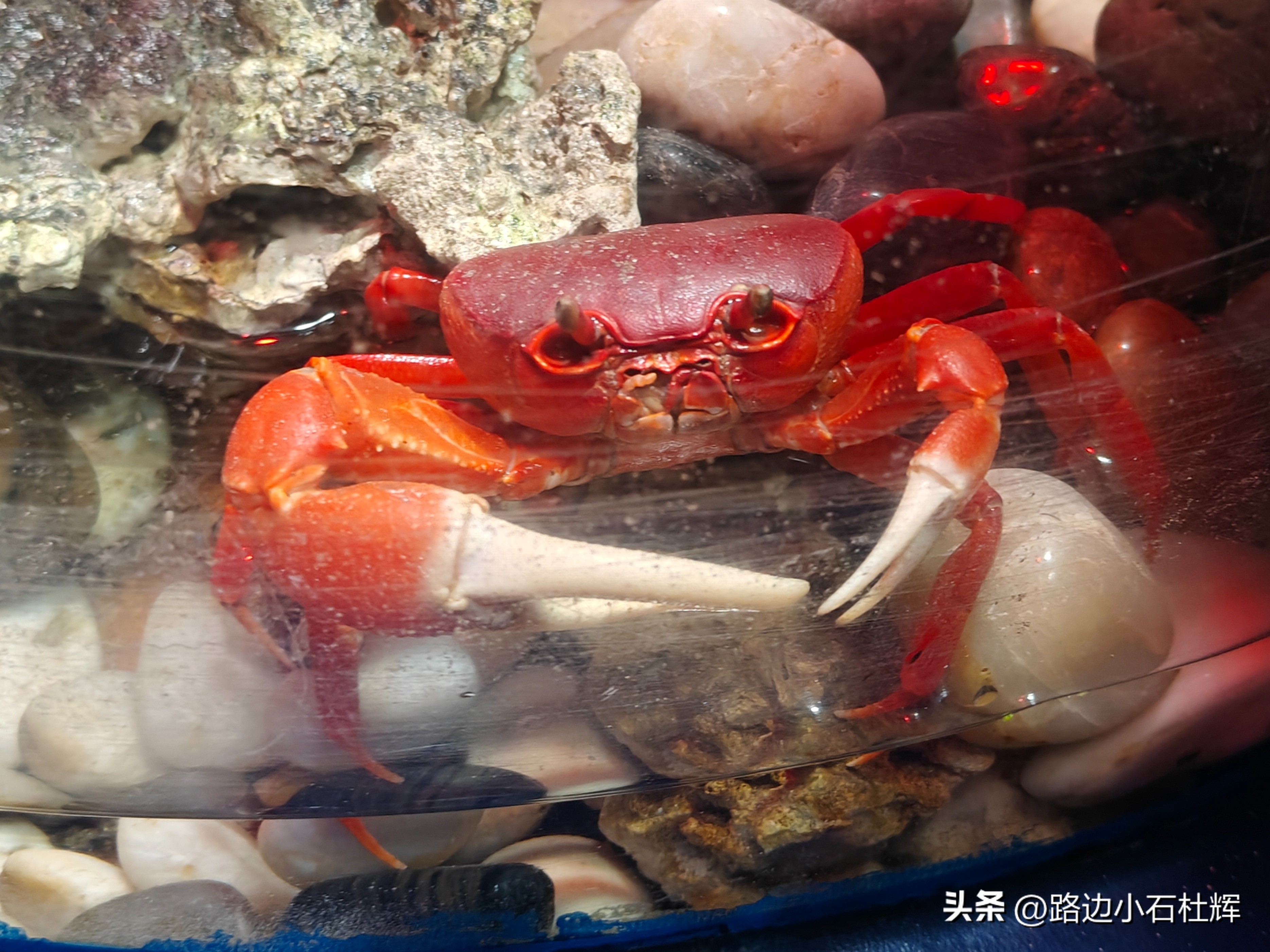 北京工体富国海洋馆攻略,北京工体富国海洋馆