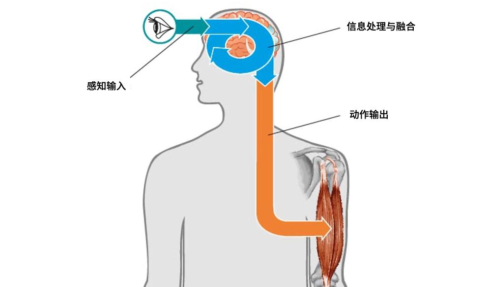 足球逆向思维训练,足球空间识别能力训练方法